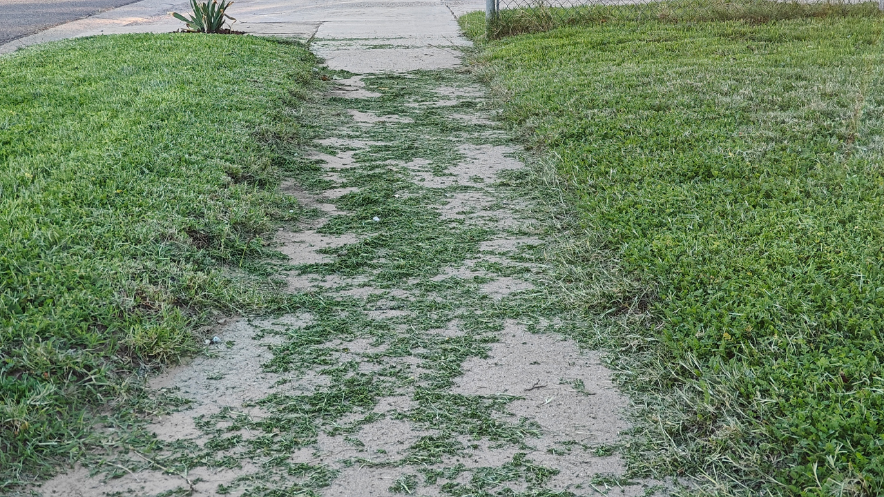 Blowing grass clippings or leaves into street violates Lubbock ordinance, but people do it