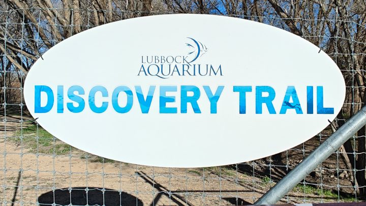 Discovery Trail near the future site, proposed Lubbock Aquarium