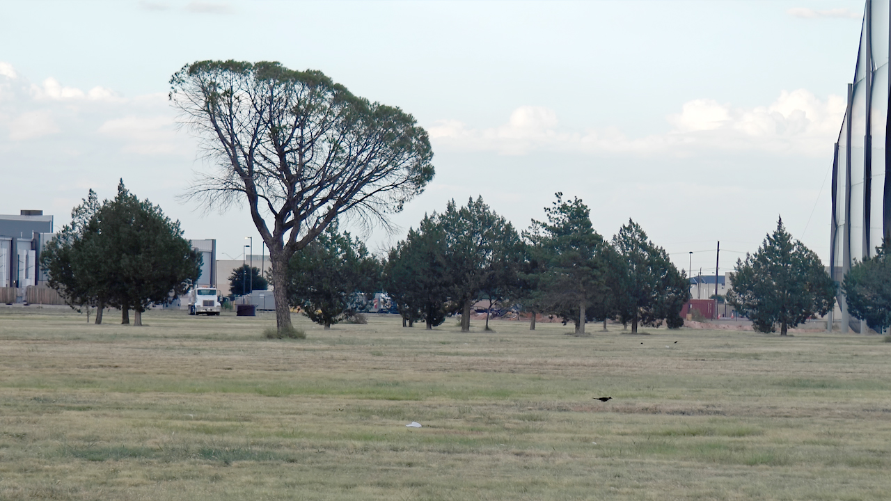 Land owned by Zephyr Tree Farm in Lubbock, Texas 