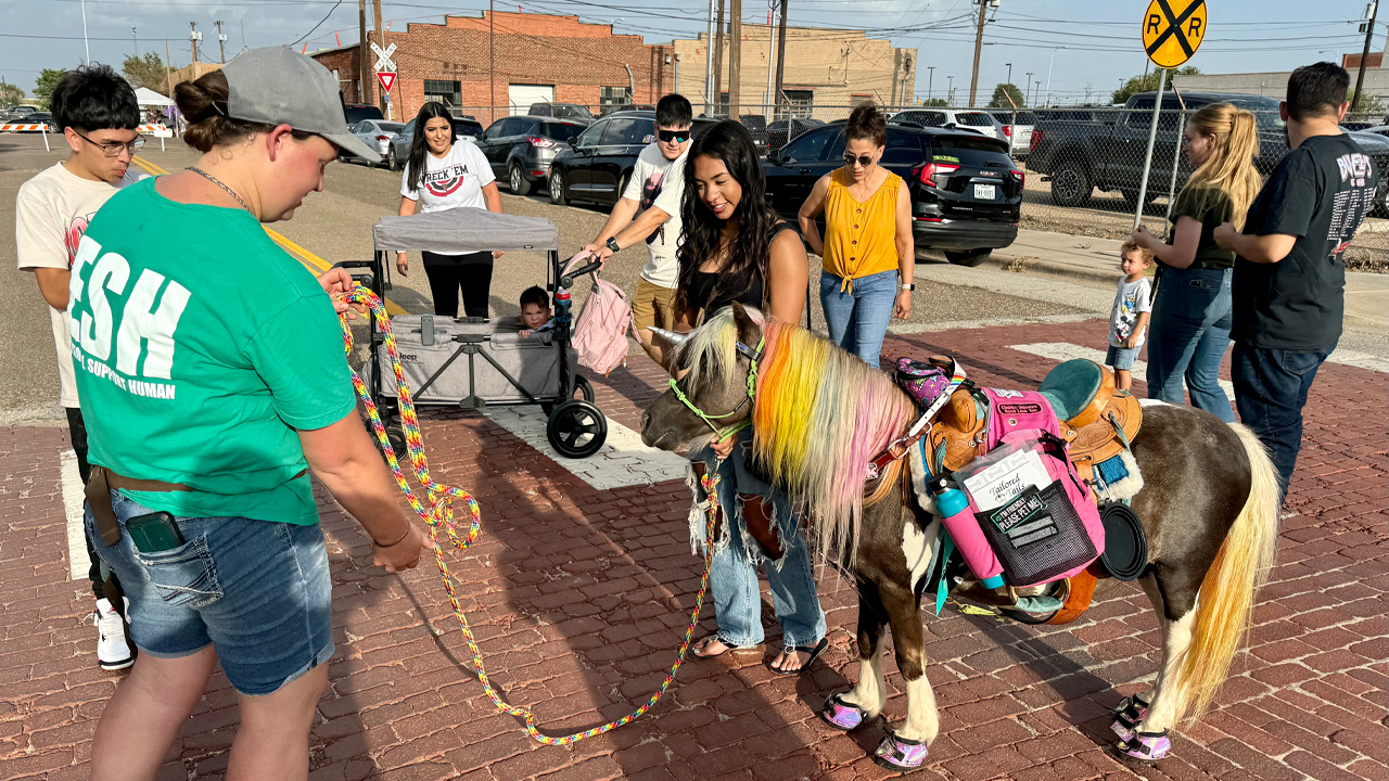 Rainbow unicorn, First Friday Art Trail in Lubbock, Texas