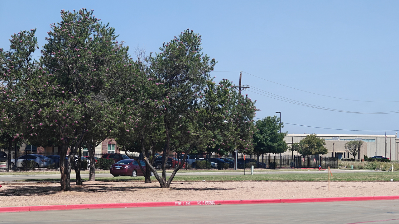 Landscaping in Lubbock, Texas