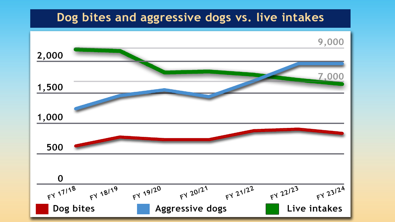 chart, dog bites and live intakes in Lubbock, Texas