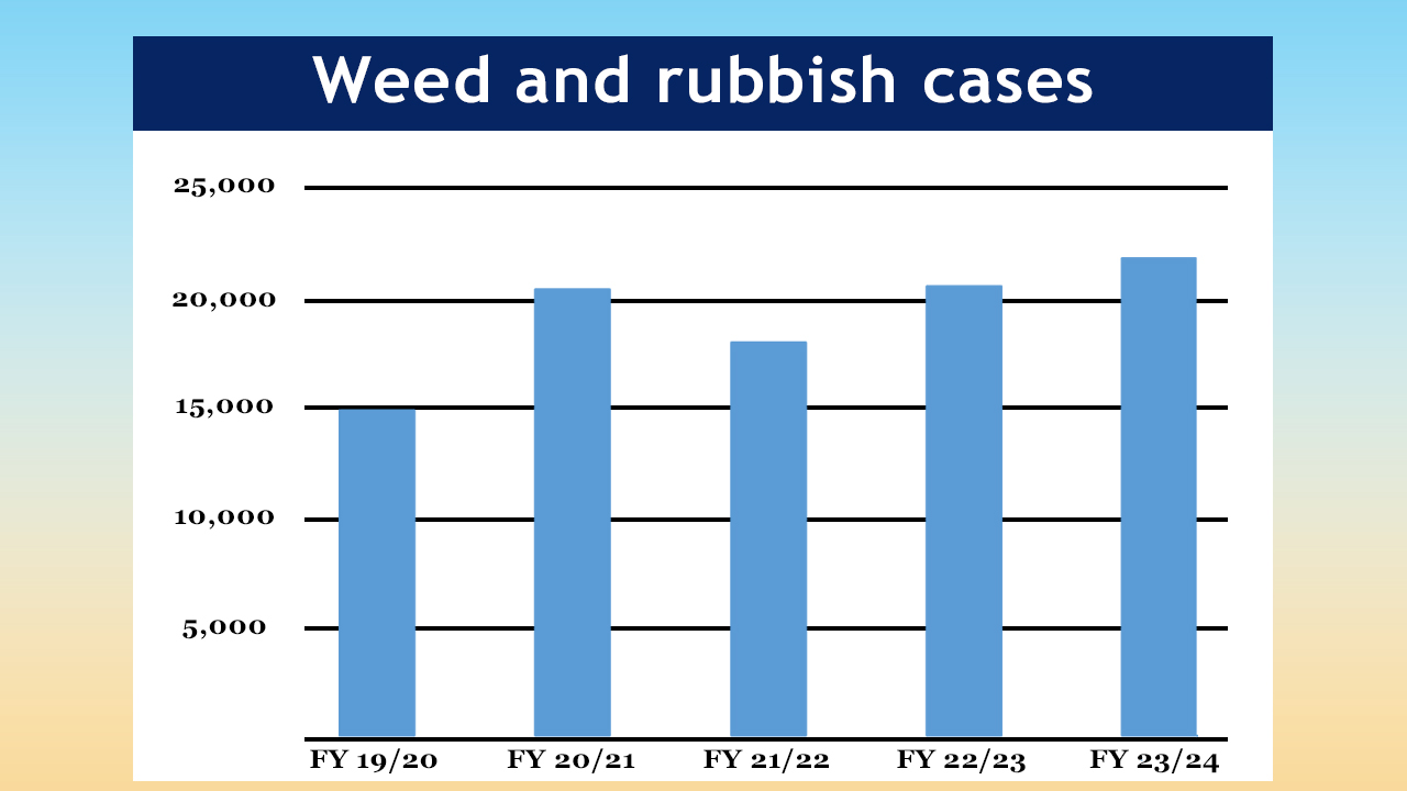 Weed and rubbish cases, chart, in Lubbock, Texas